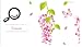 Kappier Pink Wisteria Flower Vines and Butterflies Removable Wall Decal
