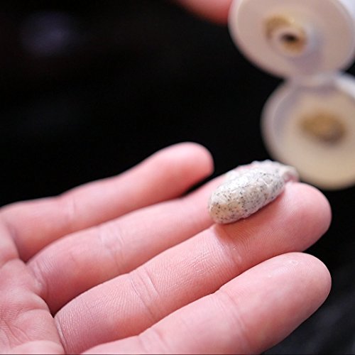 Best Face Wash for Men - Lather & Wood's Face Scrub - Luxurious Exfoliating Mens Face Wash for the Man's Man. 4oz Facial Cleanser for Men.