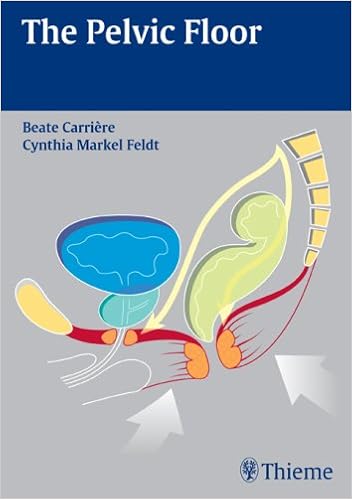 The Pelvic Floor Amazon De Beate Carriere Cynthia Markel