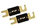 Absolute ANL100-2, 2 Pack ANL Fuses 100 Amp Gold Plated