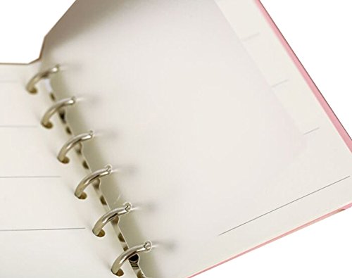 Eilova 6-Hole Clear Frosted PVC Sheet Pages Dividers Insertable Index Page Tab Cards for Travel Journal Diary Binder Notebook Memo Notepad(A5,10Pack)