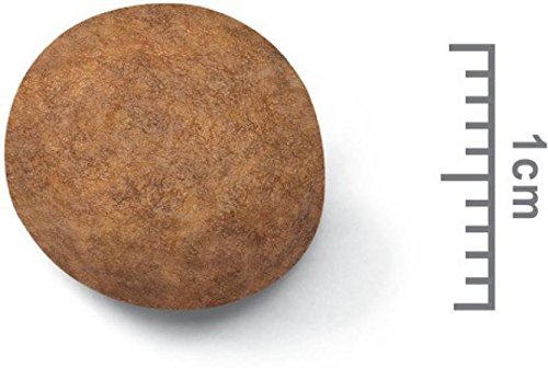 royal canin maxi junior 1kg