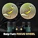 Wingspan Optics NatureSport 8X32 Waterproof Compact Binoculars for Bird Watching. Ultra-Lightweight, Rugged and Durable. Pocket-Size Binoculars for the Nature Lover on the Go. Formerly Polaris Optics.