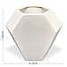 Modern Ceramic Geometric Planter ( 3 Pack-White) Hexagon Succulent Plant Pot/Cactus Flower Pot/Container