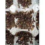 Dubia Roaches 25 Small