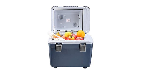 Nevera Coche,Portátil 20 litros Calefacción Enfriamiento 12v ...