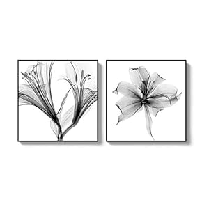 2 Piece Framed Canvas Wall Art for Living Room, Bedroom Transparent Flower Canvas Prints for Home Decoration Ready to Hang - 16"x16"x2 Panels