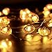 MIYA LIFE Cute Pumpkin String Lights Fall Pumpkin Fairy Lights Battery Operated for Thanksgiving and Halloween Indoor Decorations