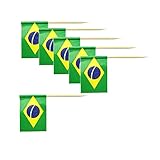 AKOAK Handmade 2.5 Inches National Flag Toothpicks for Cocktail Sticks Sandwich Fruit Cupcake Toppers, Cocktail Picks Party Supplies,100 Count (Brazil)