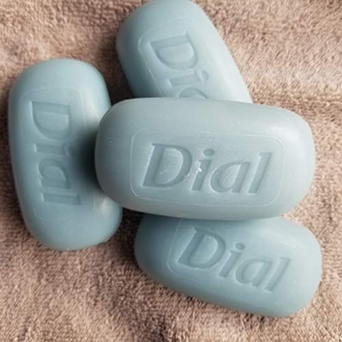 Dial Coconut Water - Hand Felted Soap Bar