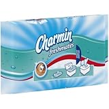 Charmin Freshmates Flushable Wipes 40 Count Refills; Pack Of 12; 480 Total Count