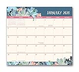 Orange Circle Studio 2020 Magnetic Monthly Calendar Pad, August 2019 - December 2020, Succulent Paradise by