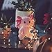 Axol The Axolotl - 8