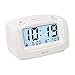 DreamSky Dual Alarm Clock with Smart Adjustable Nightlight, Snooze, Large LCD Display, Portable Battery Operated, Ascending Alarms Sound, Simple Operate Clocks for Bedroom and Kids