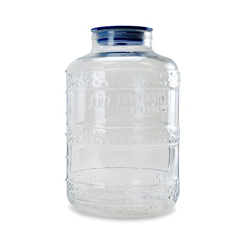Big Mouth Bubbler EVO 6.5 Gallons Glass Carboy Fermentor With Universal Single Port Lid For Homebrew Beer