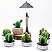 Cactus Tealight Candles Handmade Delicate Succulent Tea Light For Home Birthday Party Wedding Decor 6 Pcs
