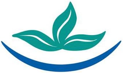 Phi Purification of Energy Balancer – Essence