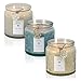 Dynamic Collections Snowflake Embossed Christmas Jar Candle - 3 Pack – Scented 2-Wick Candle Gift Set with Lids in Pastels - Blue, Ivory and White
