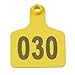 BQLZR Yellow 1-100 Numbers Plastic Large Livestock Ear Tag for Cow Cattle Pack of 100