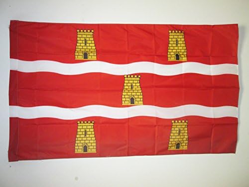 AZ FLAG, Department of Deux-Sèvres Flag, 3x5 Ft, Deux-Sevres Banner with Sleeve, 100% Polyester, Fade Resistant, Vivid Colors