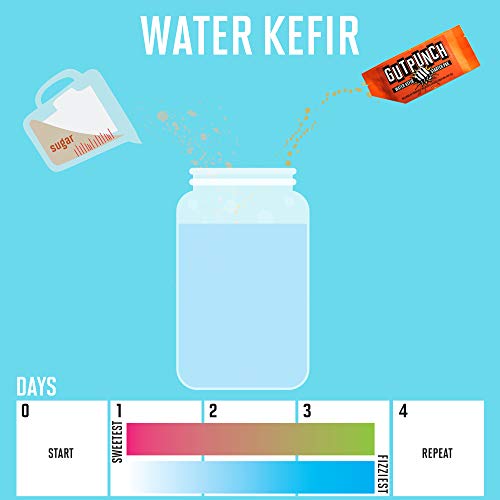 Water Kefir Starter Pack Grains Brewing Kit, Live Organic Culture