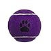 Zanies Puppy Pride Tennis Balls for Dogs, 6-Pack – 2.5-Inch Diameter Tennis Balls Match the Rainbow Pride Flag Colors