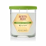 Burt's Bees Fresh Cut Fern Soy Candle, 6.5 oz