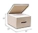 StorageManiac 3-Pack Jumbo Foldable Polyester Canvas Storage Box, Convenient Storage Bin with Lid