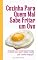 Livro Cozinha Para Quem Mal Sabe Fritar um Ovo: O ebook para quem odeia receita que "enche linguiça"!