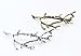 Oopsu 6pcs Minimalist Dainty Gold Silver Metal Hairpin Hair Clip Clamps,Metal Branches Hairpin Hair Accessories