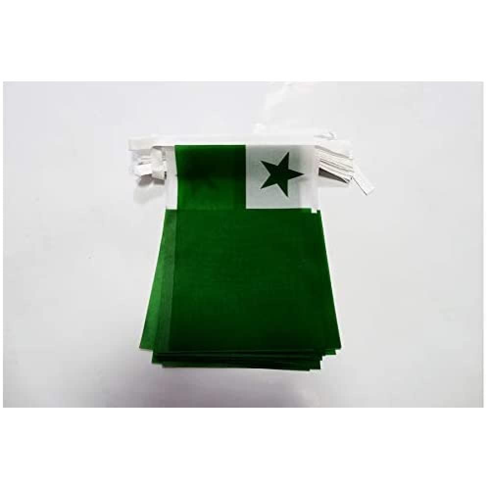 AZ FLAG Esperanto Bunting Flag, 20 Ft Garland 20 Small international auxiliary language Flags 8'' x 6'', 100% Polyester String Pennant, 6 meters