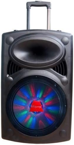 Ridgeway QS-1023B DJ Speaker44; 10 in.