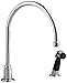 American Standard 7231.000.002 Amarilis Heritage Gooseneck Kitchen Faucet with Spray, Polished Chrome (Handles Not Included)