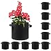 jecengs Non-Woven Plant Grow Bags, High-Intensity Transplanting Seedling Pot with Handle Black (10, 2Gallon(8.7″x7.9″))thumb 3