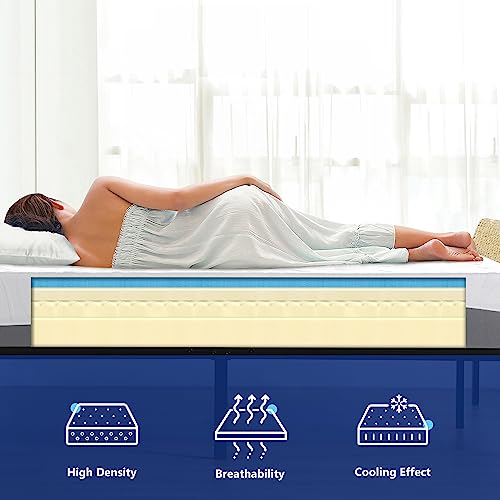 Olee Sleep 10 Inch Gel Layer Top Memory Foam Mattress Queen, Medium