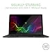 Razer Blade Stealth RZ09-01964E31-R3U1 13.3
