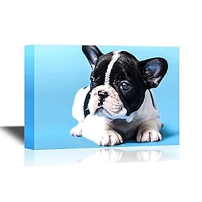Dogs Breeds Canvas Wall Art - French Bulldog Puppy - Gallery Wrap Pet Art for Modern Home Art | Ready to Hang - 12x18 inches