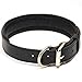 Logical Leather Padded Dog Collar - Best Full Grain Heavy Duty Genuine Leather Collar - Black - Medium