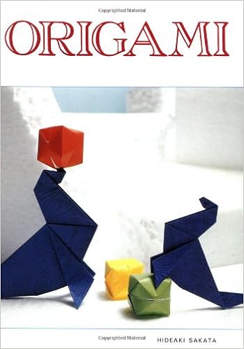 Origami Hideaki Sakata 9780870405808 Amazoncom Books