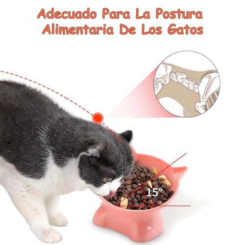 XJZWHN 2 Pcs Platos para Gato, Cuenco Elevados para Gato con 15° Inclinación Diseño Ergonómico, Proteger la Columna Cervical, Inclinable Tazón para Gatos, Cachorro