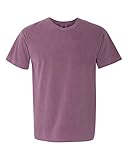 Comfort Colors Men's 6.1 Oz. Ringspun Garment-Dyed T-Shirt, Berry, X-Large