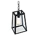 Light Society Serendipity Mini Pendant Light, Matte Black Shade with Clear Glass Panels, Vintage Modern Industrial Lighting Fixture (LS-C113)