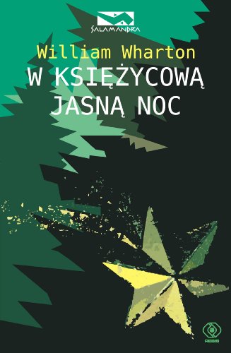 W ksiezycowa jasna noc (polish)