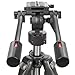 Ravelli AVT Professional 67