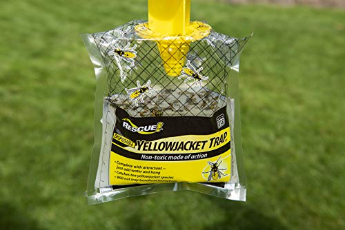 RESCUE Non-Toxic Disposable Yellowjacket Trap, West of the Rockies - //coolthings.us