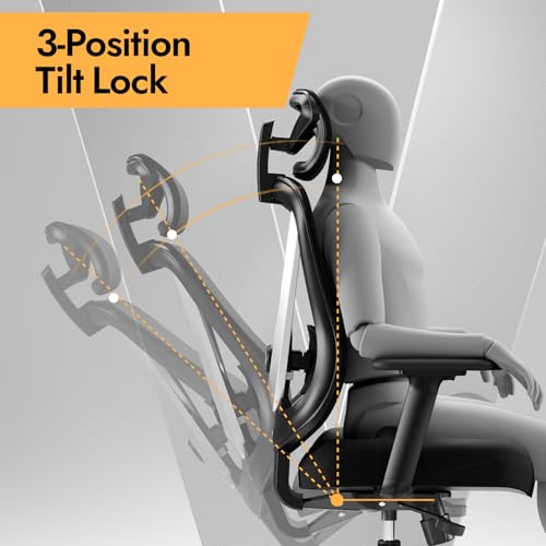 HOLLUDLE Ergonomic Office Chair with 3D Lumbar Support and Adjustable 3D Armrests - V Shape Design, Comfortable Desk Chair for Office and Home, Black
