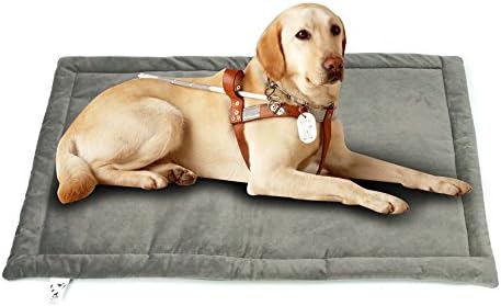 Comforhome Indoor and Outdoor Sleeping Dog Mat Soft Velvet Pad Anti-Slip Machine Washable Bed