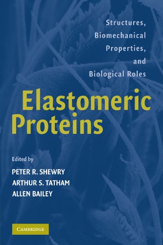 ELASTOMERIC PROTEINS