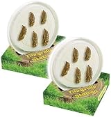Insect Lore Giant Butterfly Garden with Caterpillars & Lifecycle Stages view 5