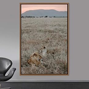 signwin Framed Canvas Wall Art Lions Animals Chic...